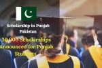 30,000 Scholarships Announced for Punjab Students