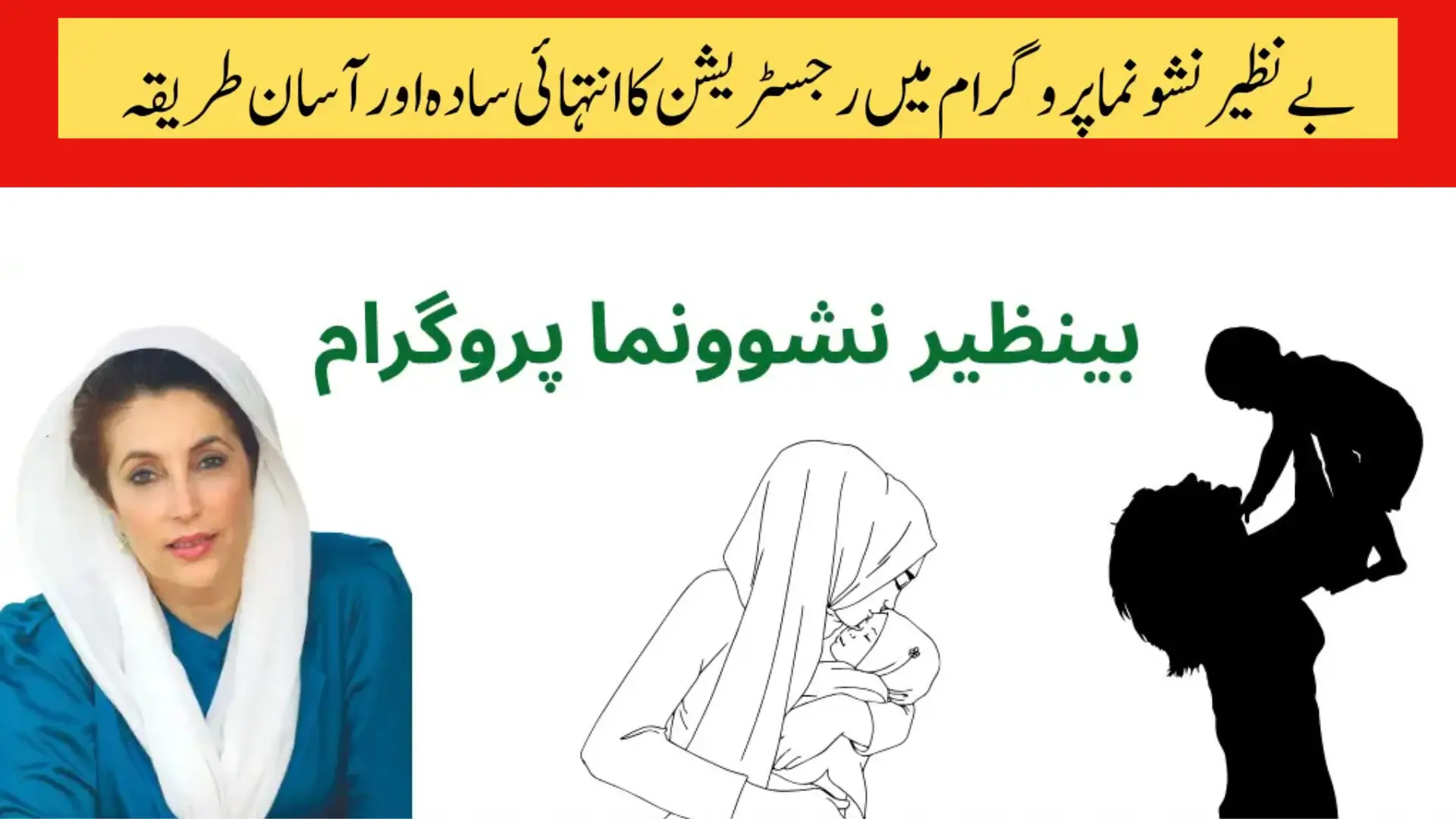 Benazir Nashonuma Programme