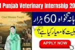 CM Punjab Veterinary Internship