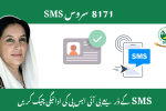 8171 SMS Service: Check BISP Payment Status 2025 Instantly