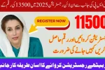 11500 New Payment Through Benazir Kafalat Program Latest Update 2025