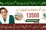 Benazir Kafalat Program 2025 – How to Become Eligible Again
