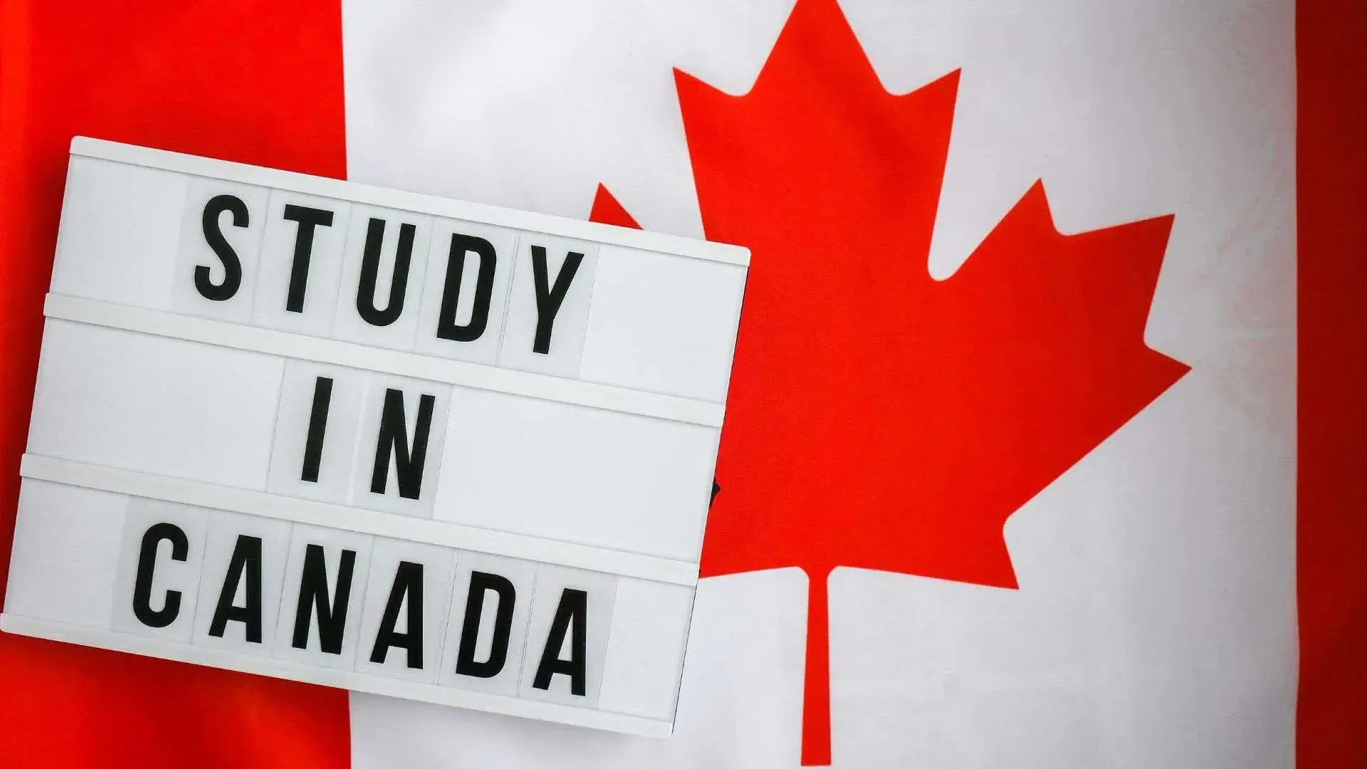 Canada Decreases Study Permits for International Students 2025