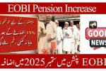 EOBI Pension Increased to Rs 10,000