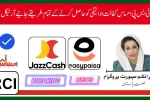 Ehsaas Kafalat Payment Collection Channels 2025