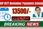 BISP 8171 November Payments Schedule