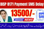 BISP 8171 Payment SMS Delay