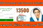 BISP November 2025 Payment Collection