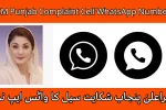 CM Punjab Complaint Cell WhatsApp Number