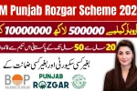 CM Punjab Rozgar Scheme 2025