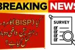 Is BISP Survey Registration 2025 Really Open Again?