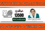 Verify Your BISP 8171 Payment Discreetly
